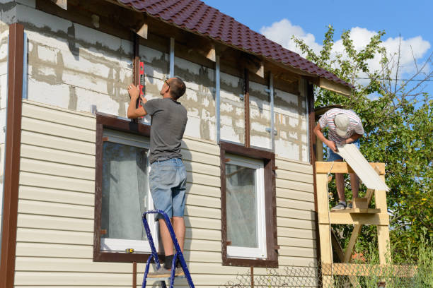 Professional Siding in Hebbronville, TX