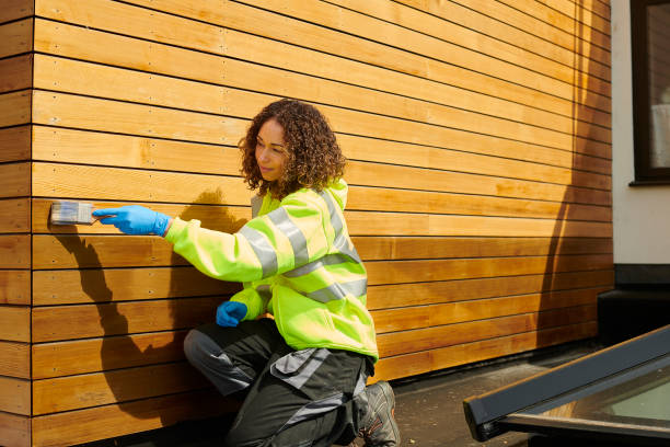 Best Brick Veneer Siding  in Hebbronville, TX