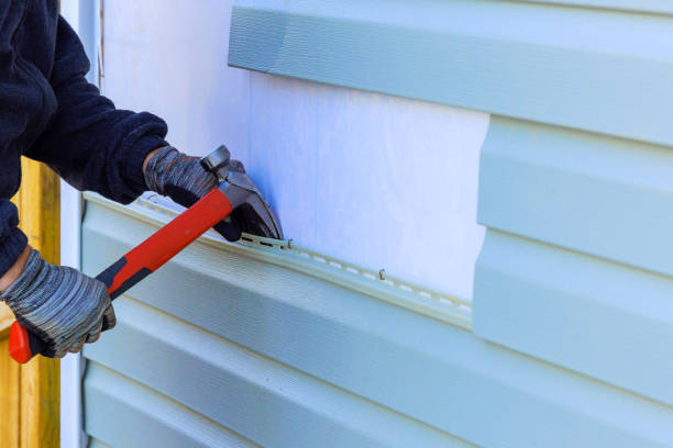 Best Custom Trim and Detailing for Siding  in Hebbronville, TX